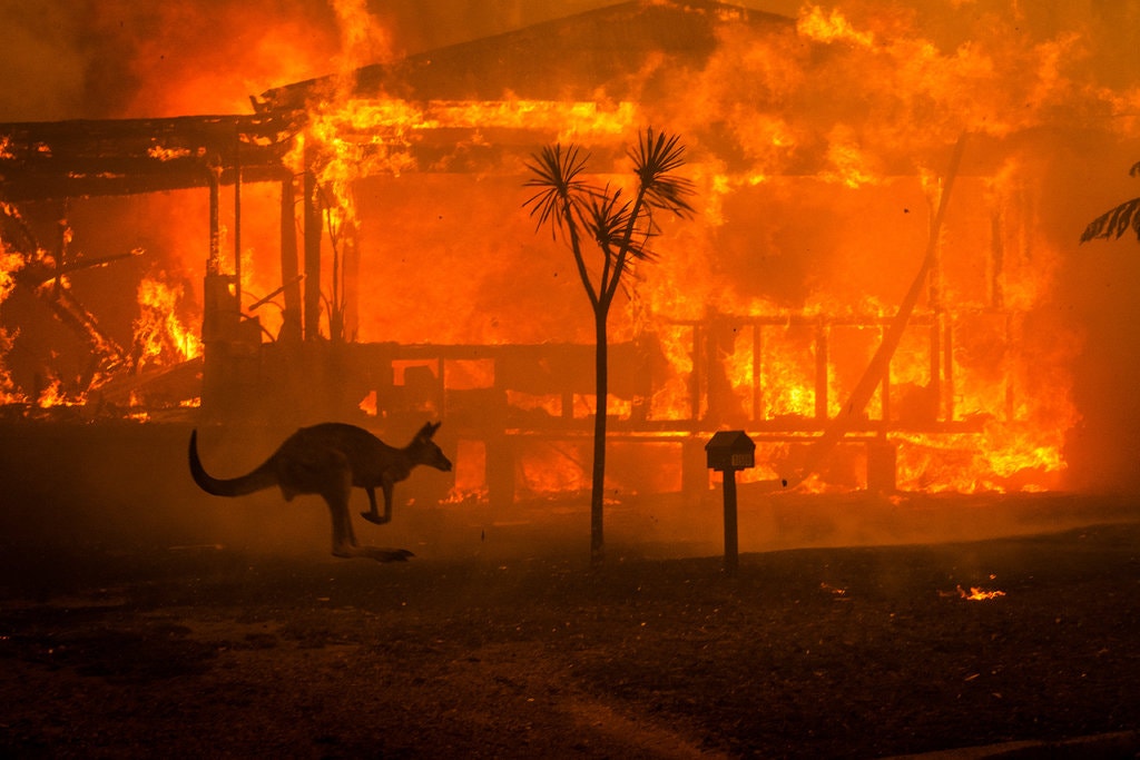 A house burning in Lake Conjola, New South Wales, on New Year’s Eve. Credit: Matthew Abbott, The New York Times